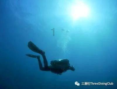 赛马大亨8